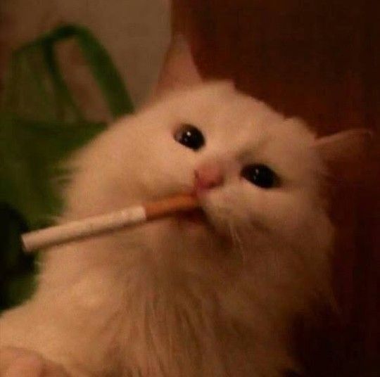 Random image